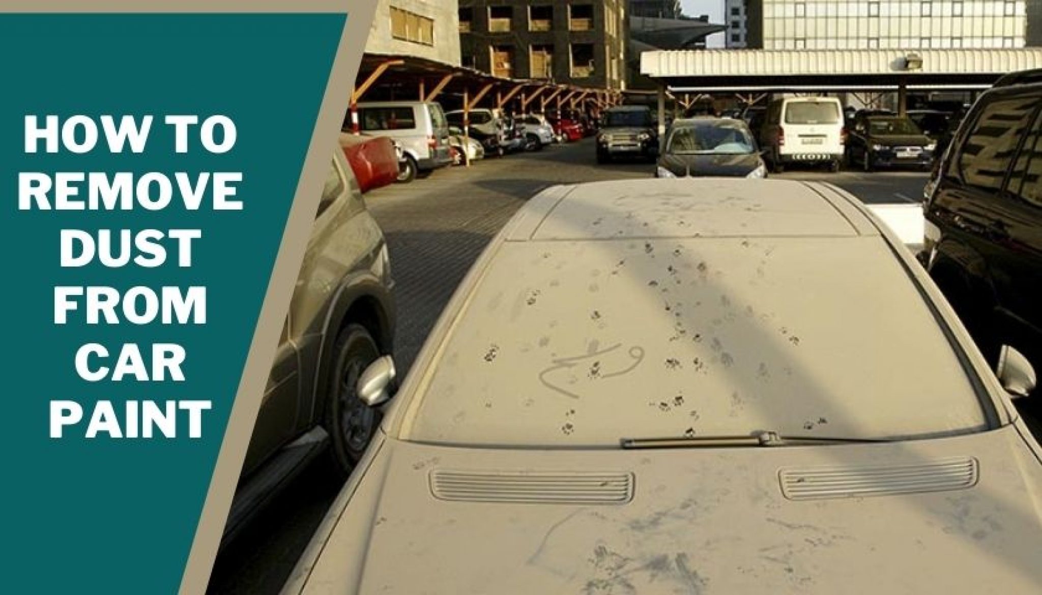 How to Remove Dust From Car Paint 5 Easy & Simple Ways
