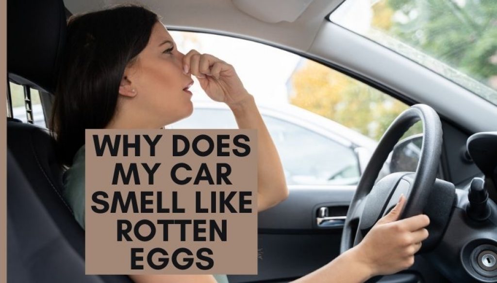 Why Does My Car Smell Like Rotten Eggs And How to Remove