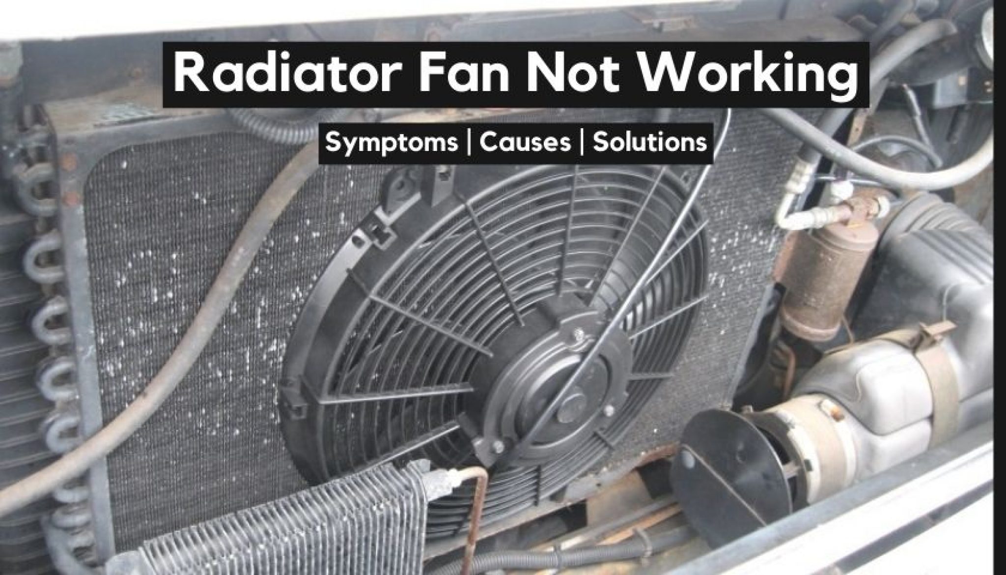 Radiator Fan Not Working | Symptoms, Causes & Solutions