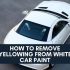 How To Remove Oil Based Stains From Car Paint | Easy Solution