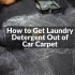 How to Get Rid of Maggots in Car Carpet | Expert’s Solution