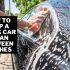 How to Remove Hard Water Stains From Car Windows | 6 Ways