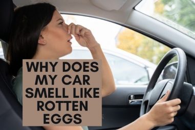Why Does My Car Smell Like Rotten Eggs And How to Remove